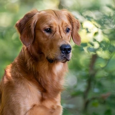 WhatsApp Image 2026-02-20 at 16.25.48